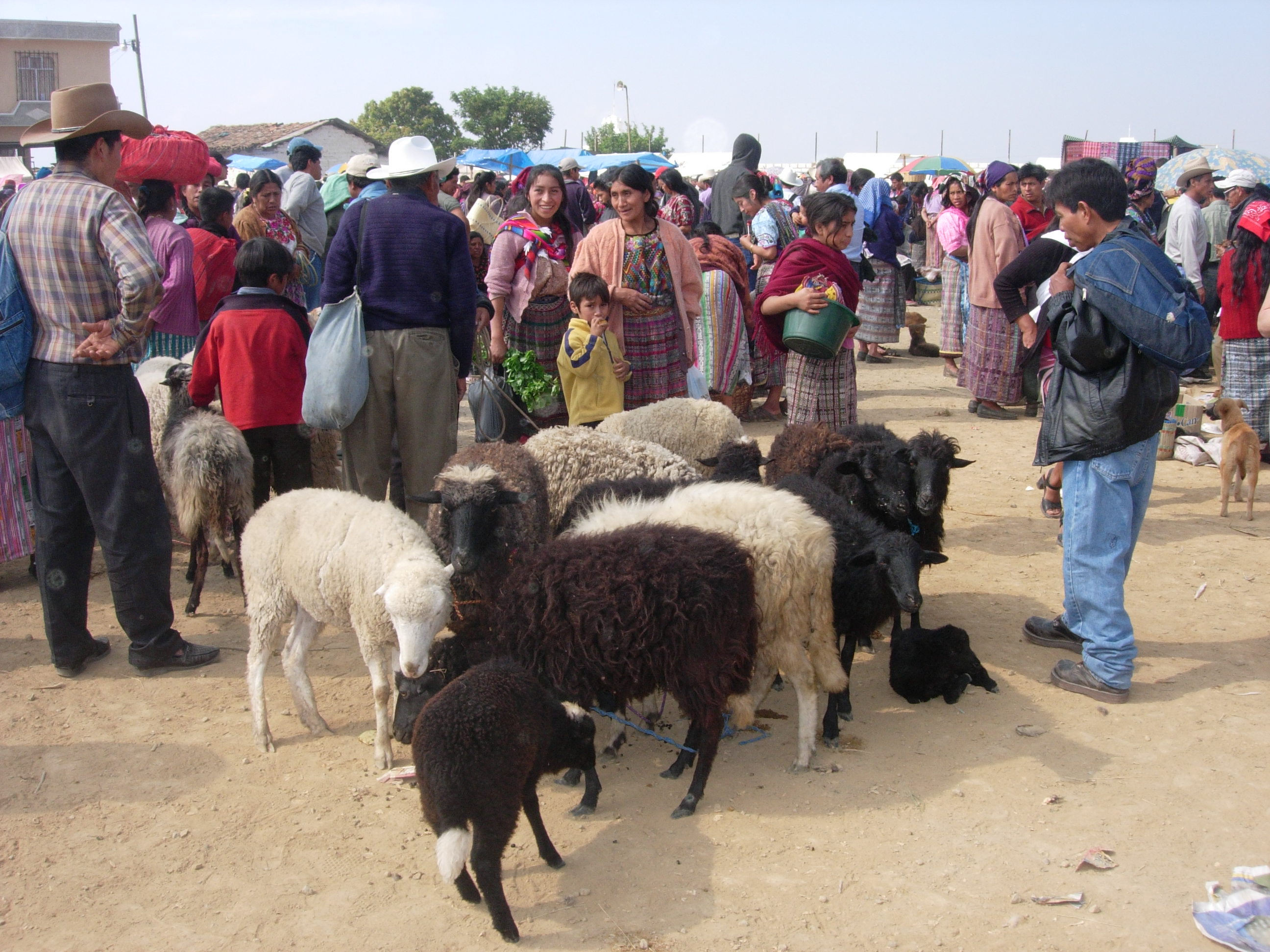 Marché aux bestiaux de San Francisco El Alto Marché aux bestiaux de San Francisco El Alto