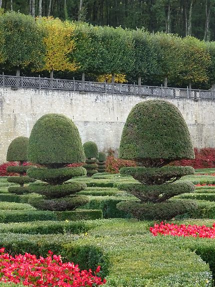 Arbustes rigolos Château de Villandry