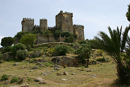 Château Fort