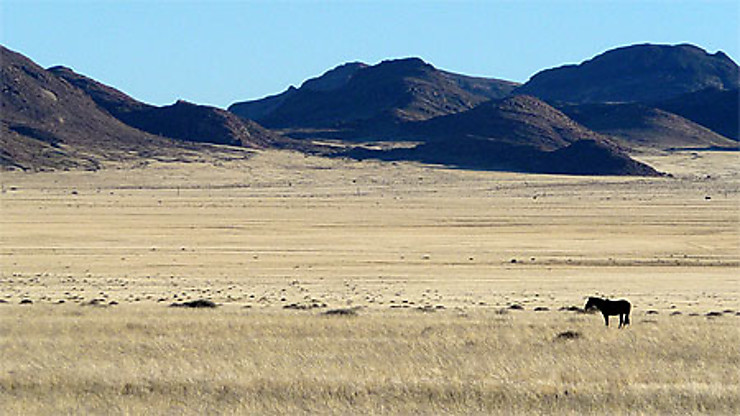 Namaqualand