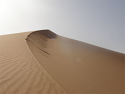 Dahnah Sahara 