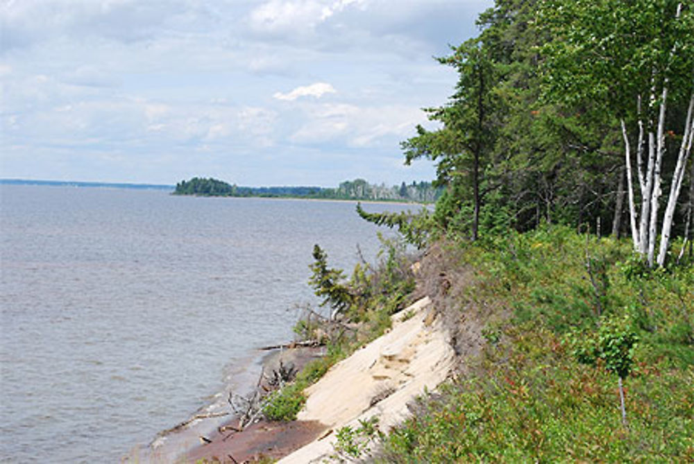 Parc de la Pointe-Taillon