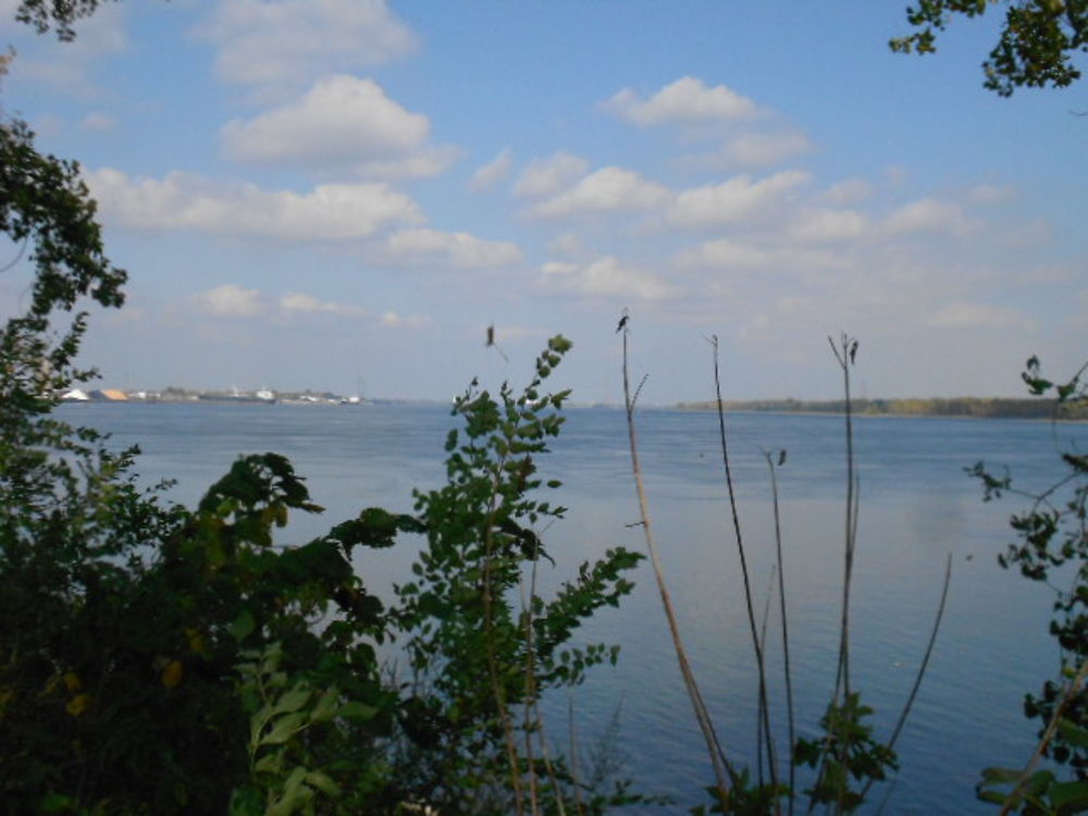 Parc de la Promenade Bellerive