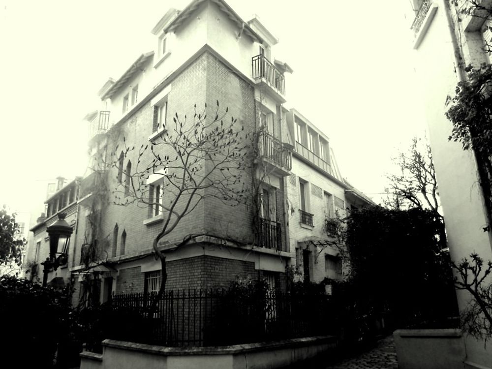 Coin champêtre dans Paris