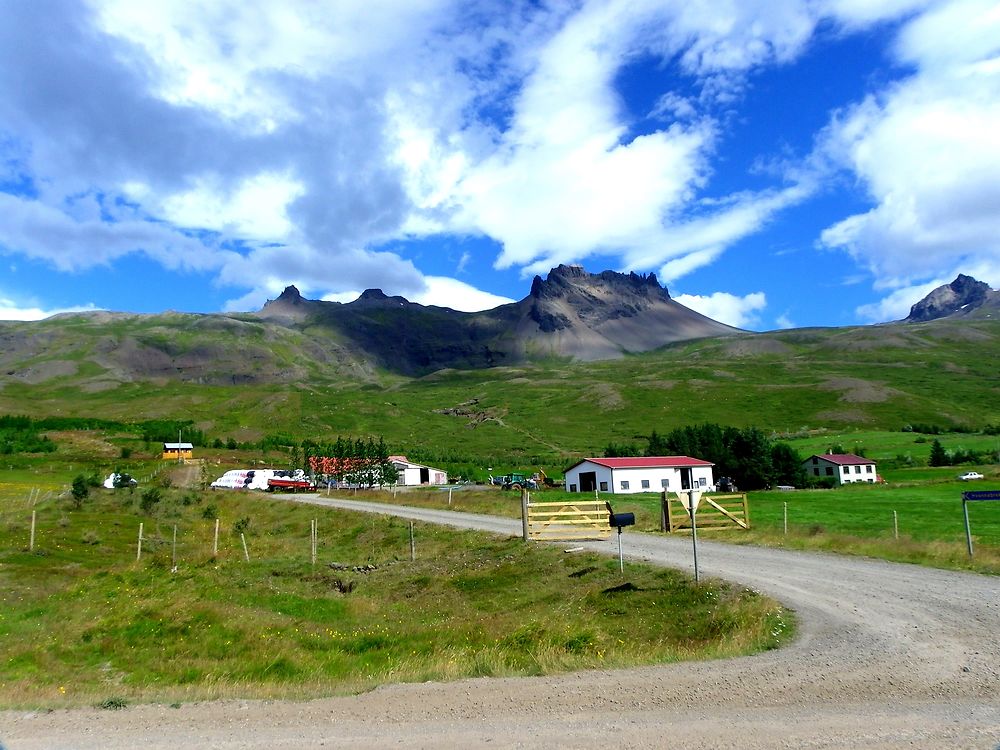 Quelque part dans les fjords de l'Est