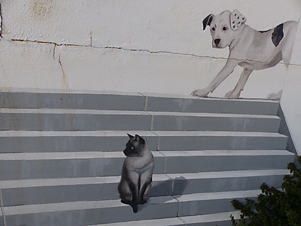 Street art chat et chien