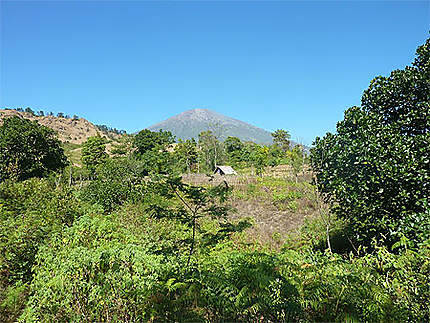 Le Gunung Rinjani depuis Sembalun