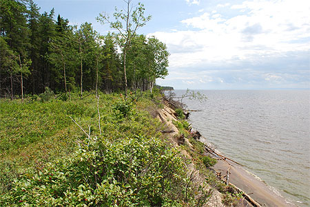 La presqu'île de la Pointe-Taillon La presqu'île de la Pointe-Taillon