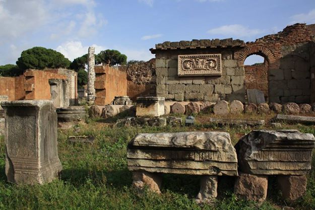 Rome sous les pins parasols Rome sous les pins parasols