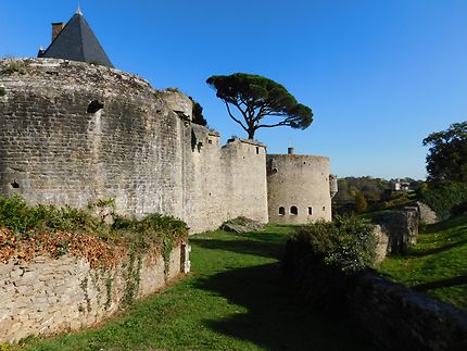Le château de Clisson 