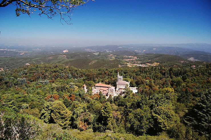 Forêt de Buçaco – Centre du Portugal