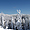 Arbres enneigés au centre de ski le Valinouët sur les monts Valin
