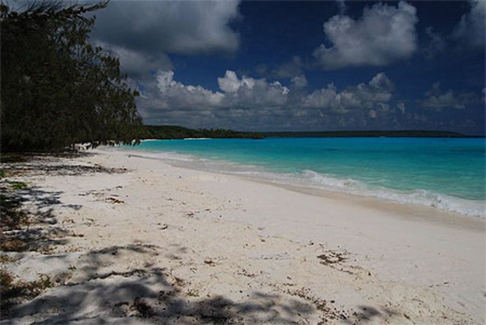 Tous à la plage