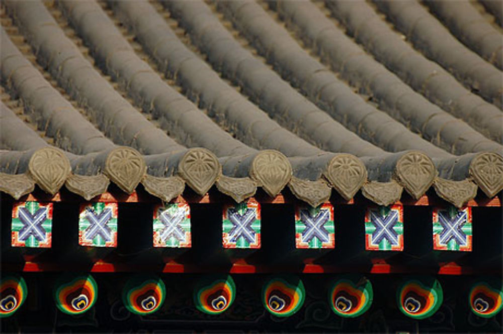 Toit d'un temple au Wu Quan Park