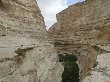 Sde Boker - Canyon Avdat Sde Boker - Canyon Avdat