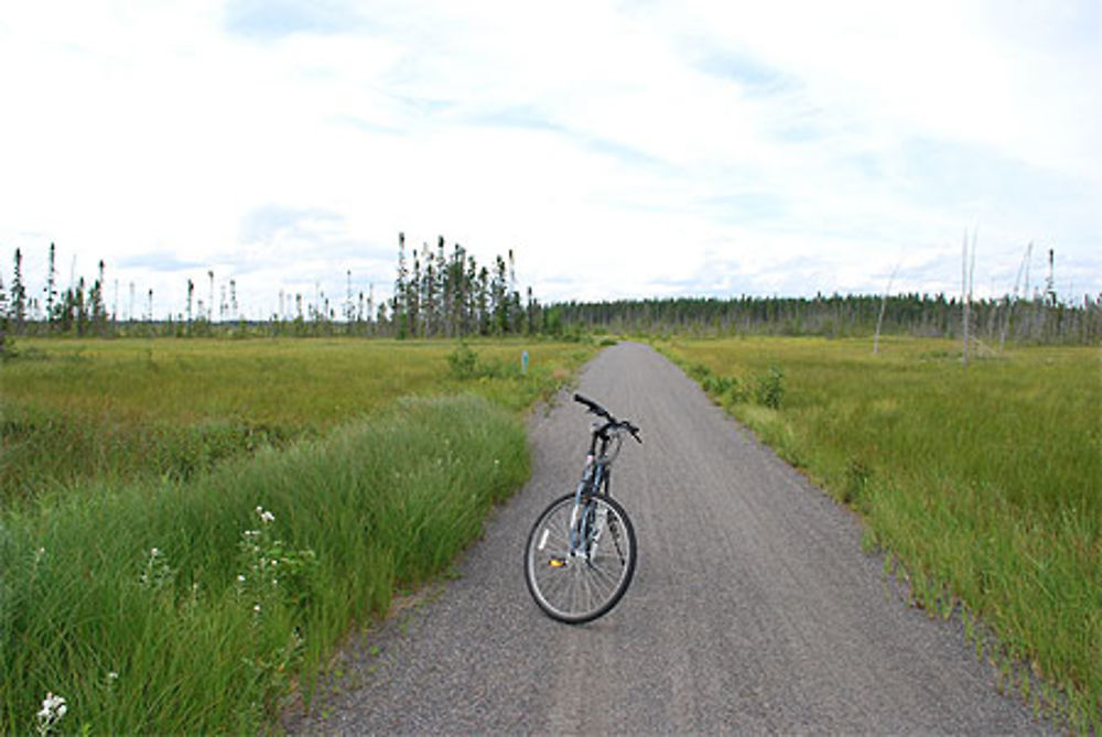 45 Km en Vélo à la Pointe-taillon