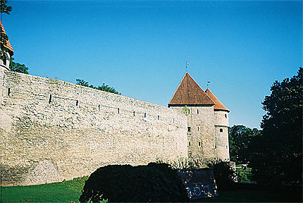 Tallinn - remparts