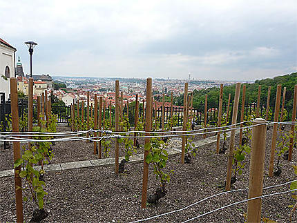 Vue sur la ville depuis le jardin des remparts