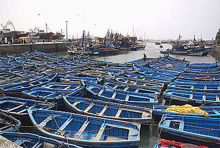 Barques de pêcheurs à Essaouira