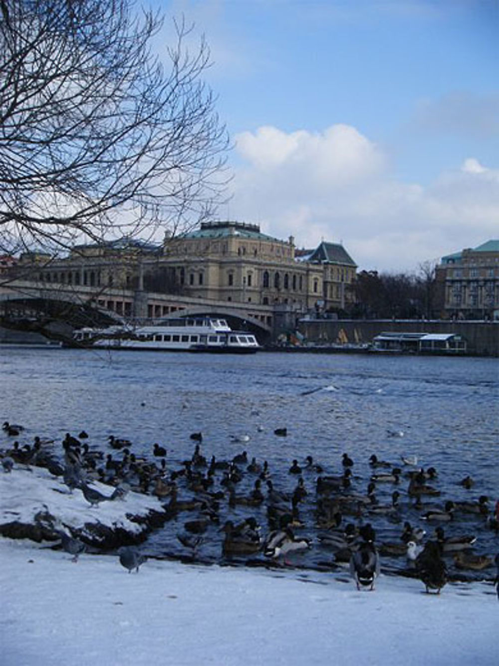 Rudolfinum