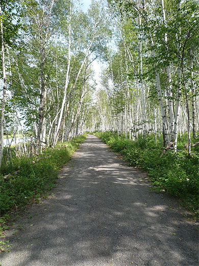 Randonnée dans le parc de la Pointe-Taillon Randonnée dans le parc de la Pointe-Taillon