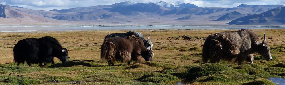 Ladakh