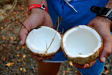 Les noix de cocos ici, c'est a volonté !!!