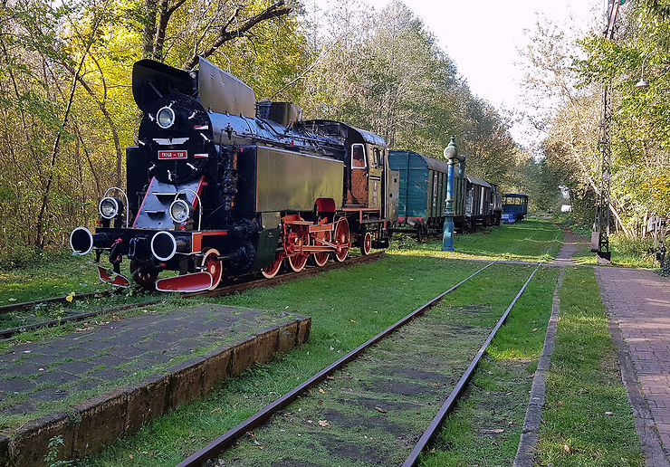 Carska (Białowieża, Pologne) : une chambre dans un train centenaire