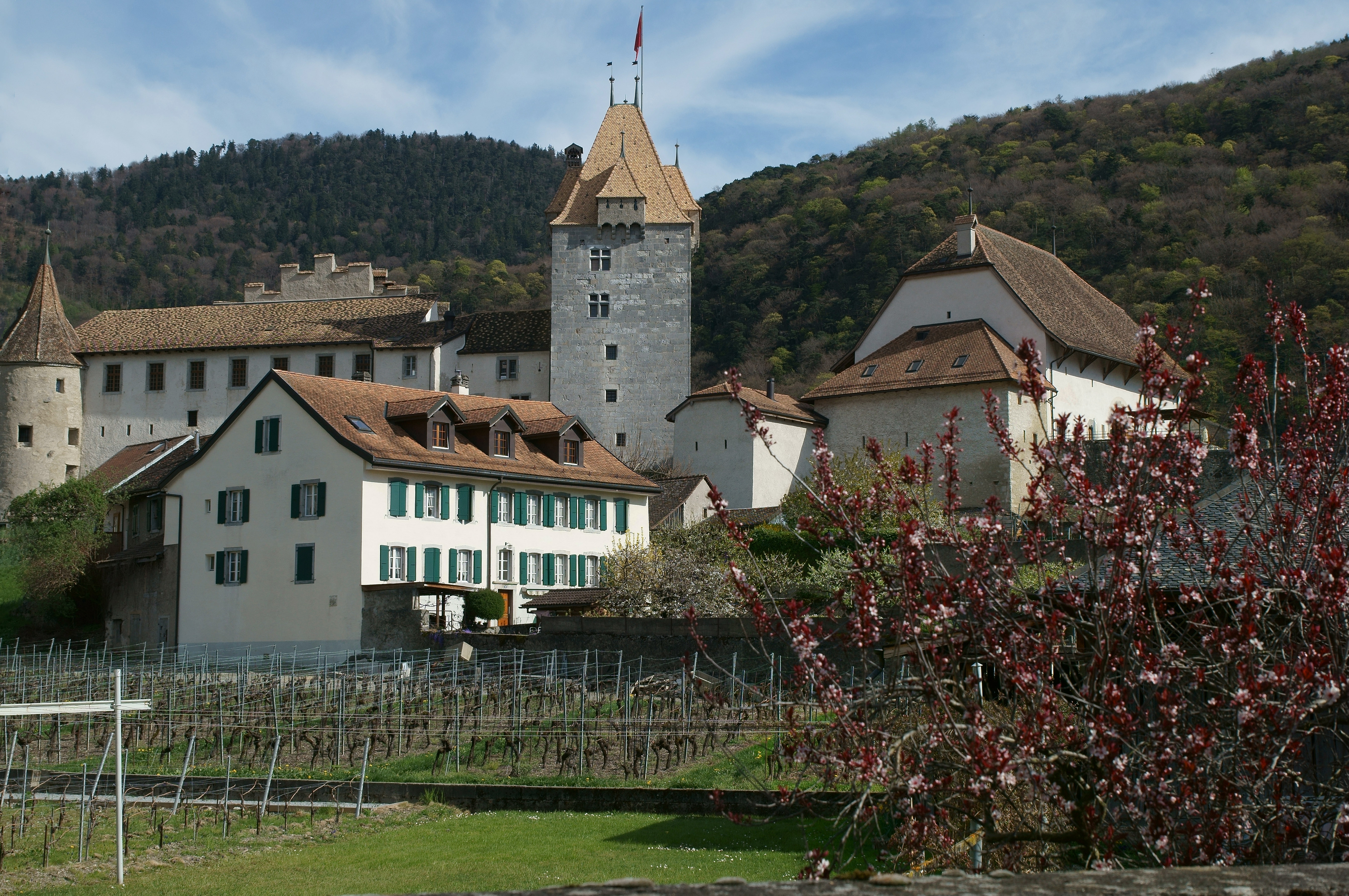 Château d'Aigle Château d'Aigle