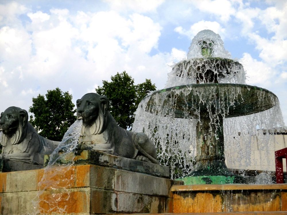 La fontaine aux lions