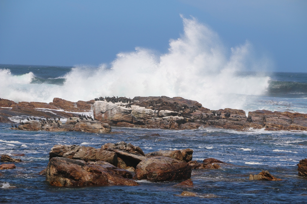 Cap bonne esp  rance Cap Bonne-Esp  rance Province Cap