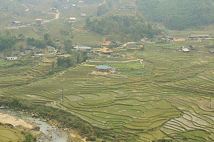 Rizières en terrasse à Sapa