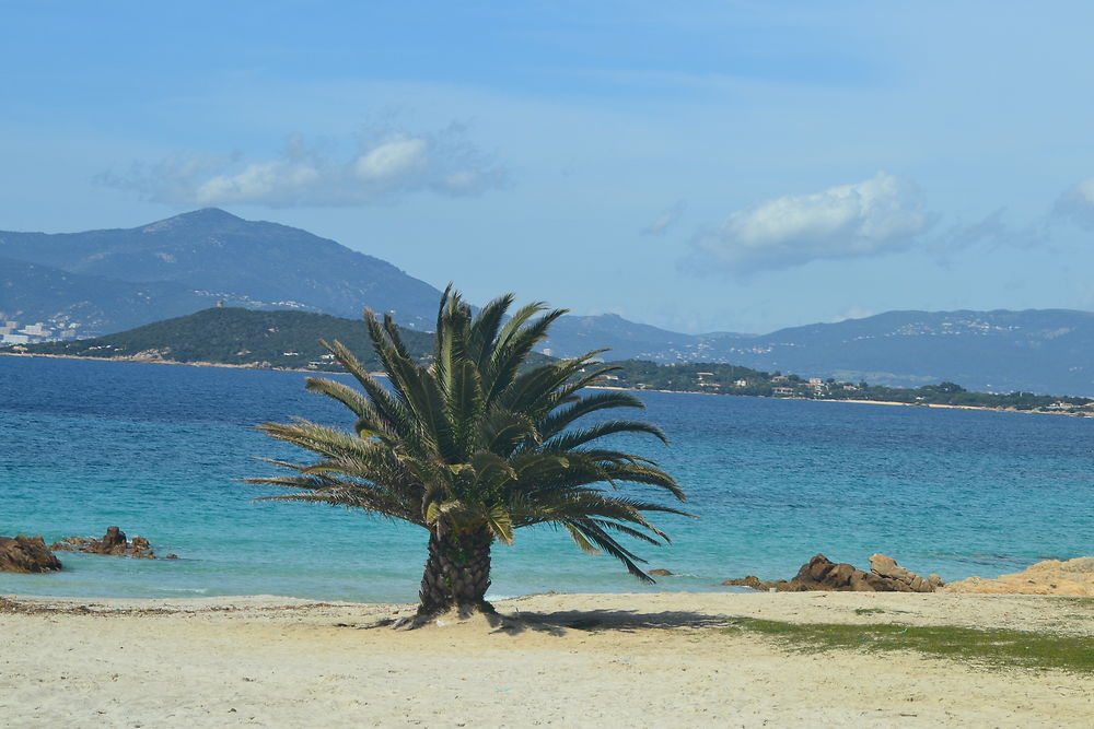 Plage d'Argent