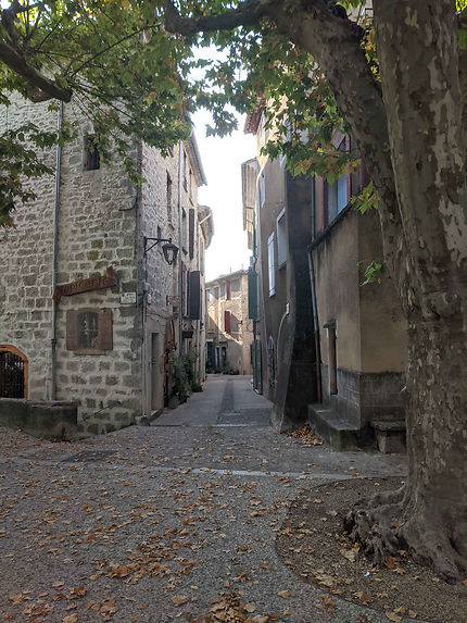 Rue qui descend à Sauve