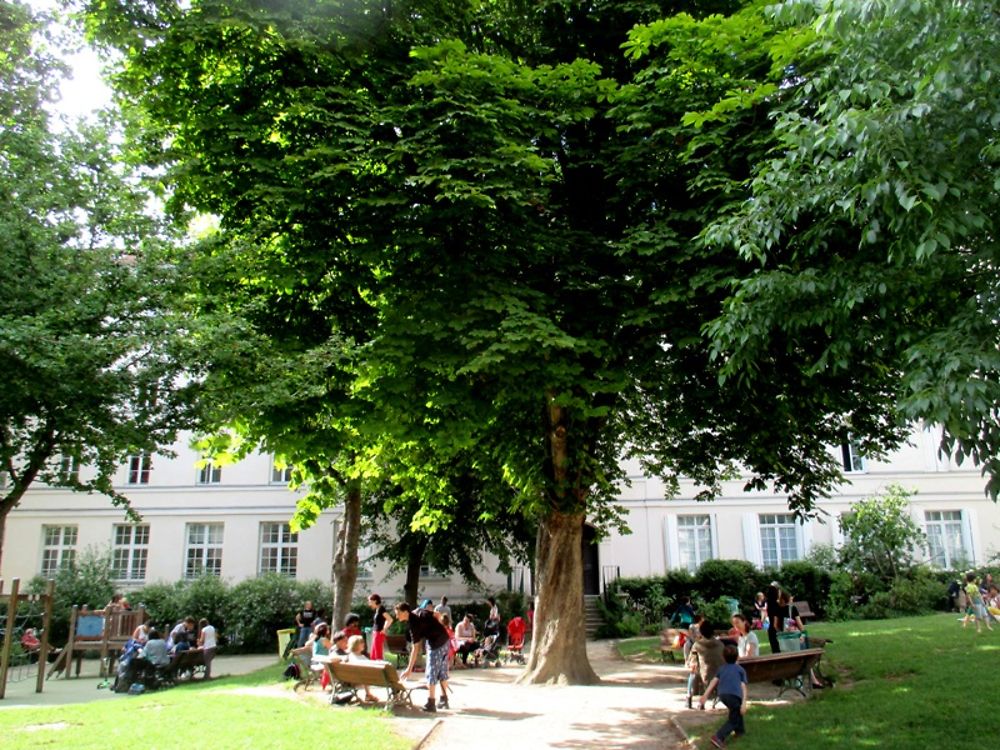 Jardin de la maison du Carré de Baudouin 