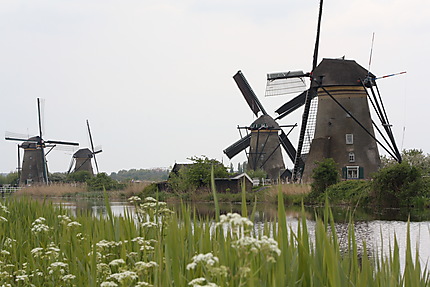 Les moulins de Kinderdijk 