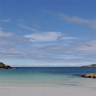 Le bleu d' Ecosse Le bleu d' Ecosse