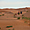 Promenade en dromadaire dans les dunes de Merzouga