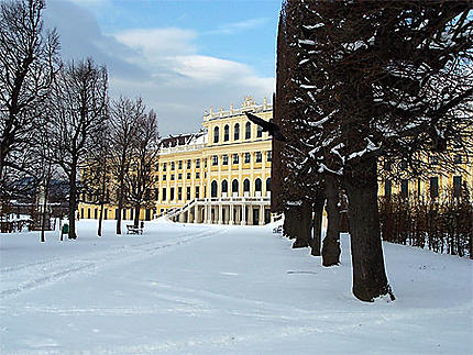 Oiseau, château de Schonbrunn 