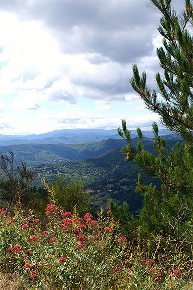 Les Cévennes Les Cévennes