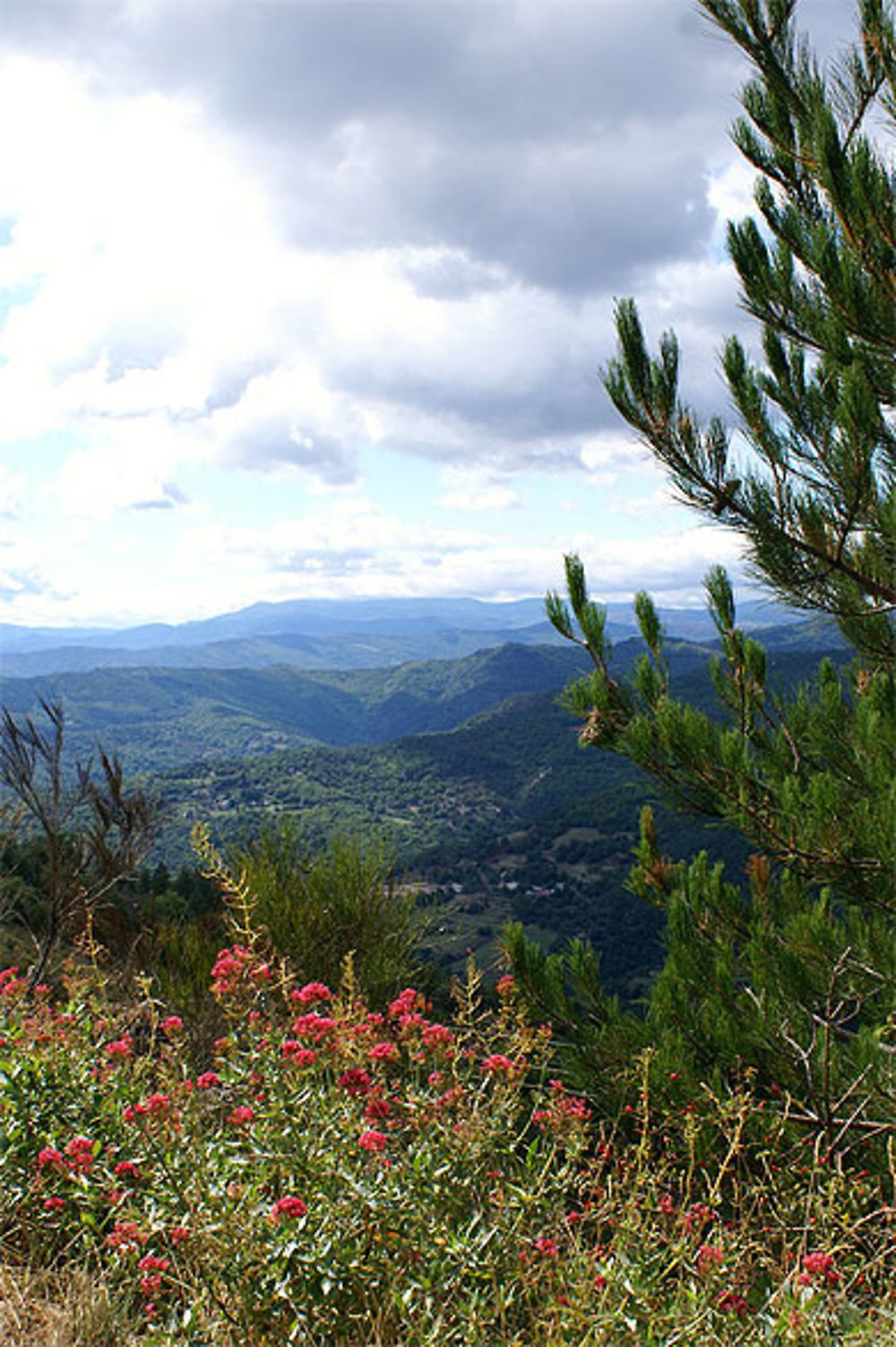 Les Cévennes