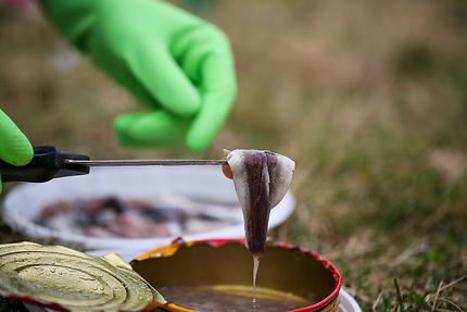 Le surströmming : hareng fermenté à vous boucher le nez – Suède
