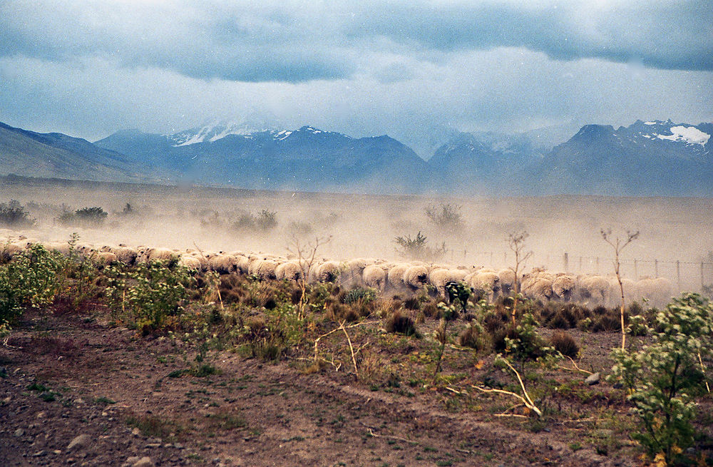 Paysage de la Pampa