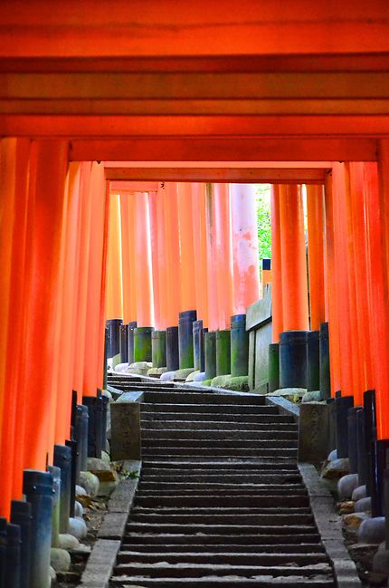 Les portes hypnotiques du sanctuaire Fushimi Inari