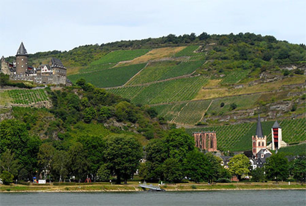 Châteaux en Palatinat