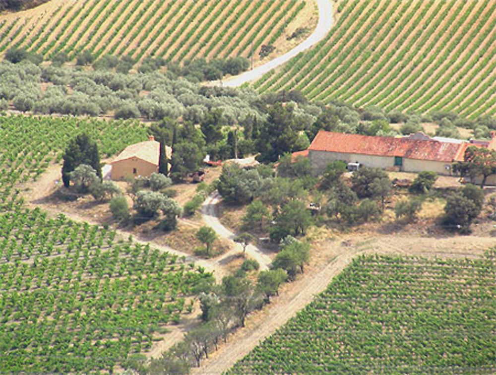 Une propriété et ses plantations