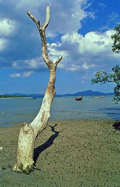 Plage Plage