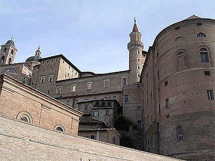 Urbino 