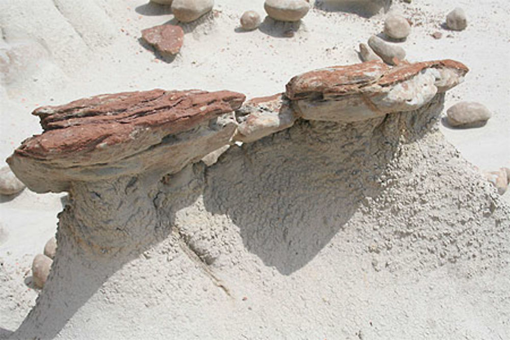 Bisti Badlands