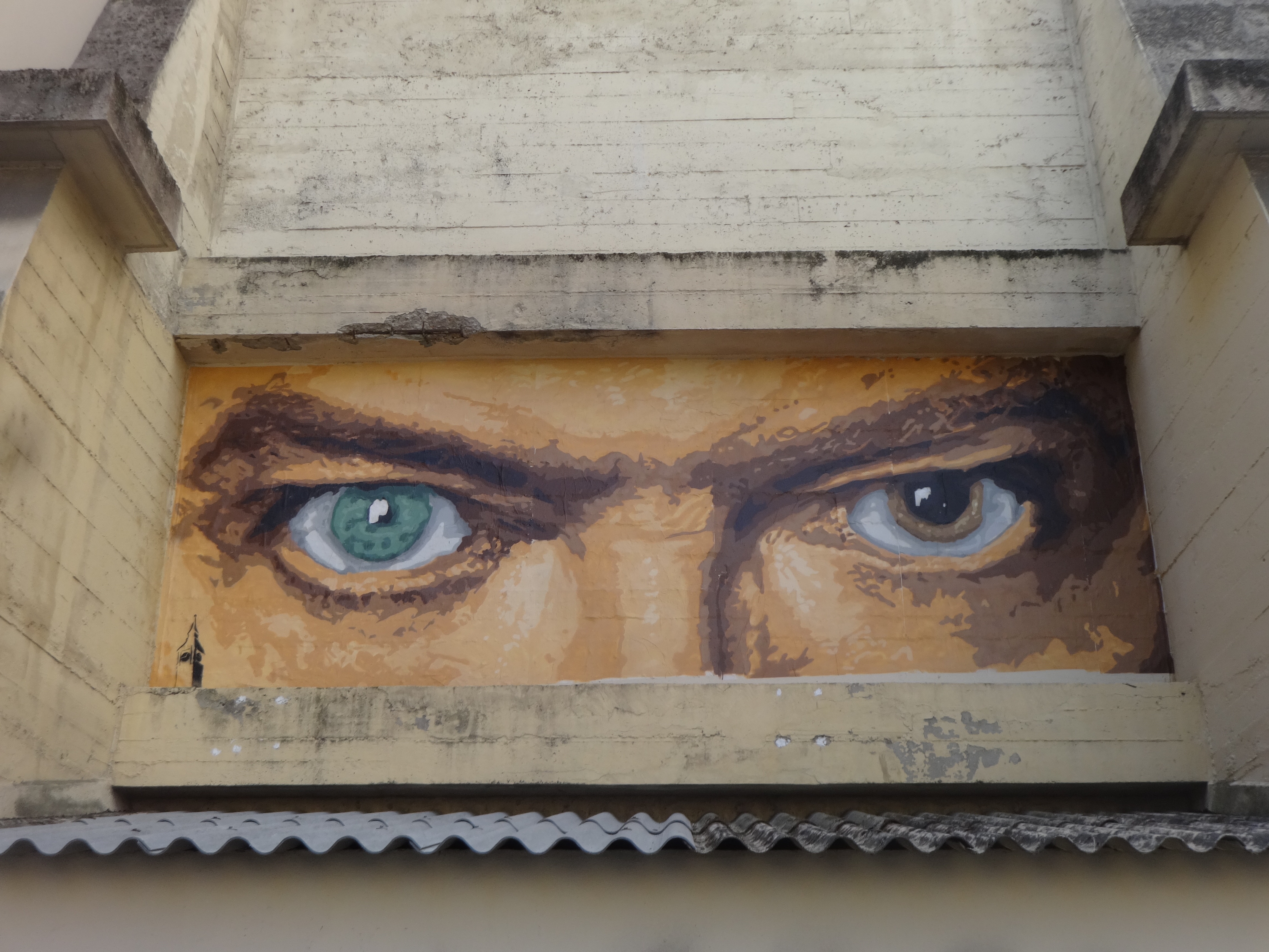 David Bowie's Eyes! David Bowie's Eyes!